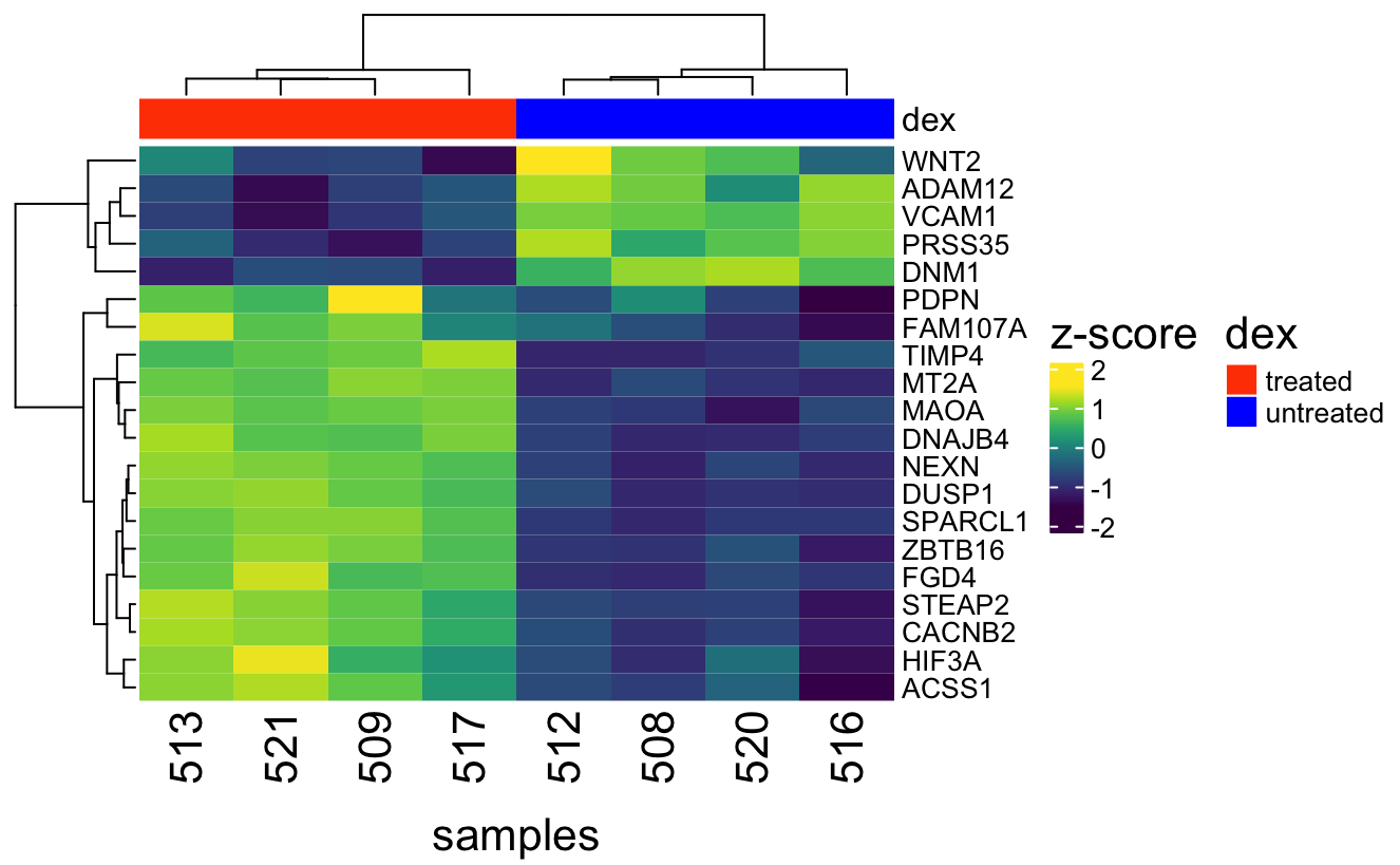 热图展示基因表达聚类